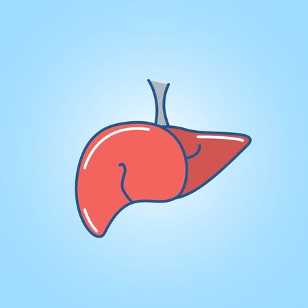 Liver Profile